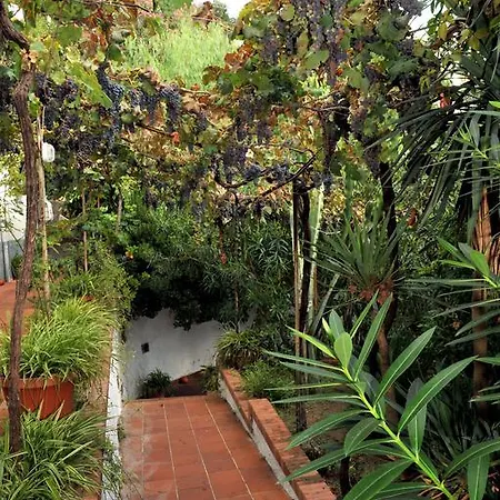 Villa Maria Antonietta Vietri Kamer foto